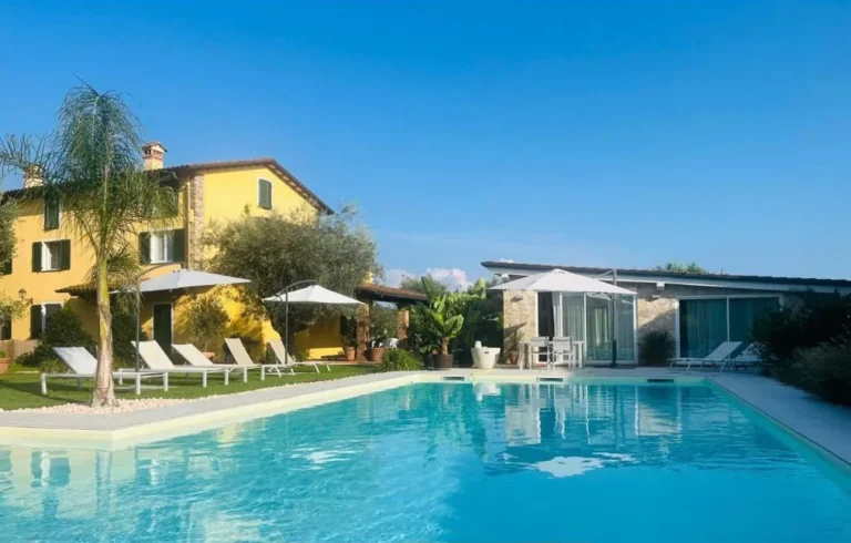 The pool on a summer day with palm tree and sun loungers